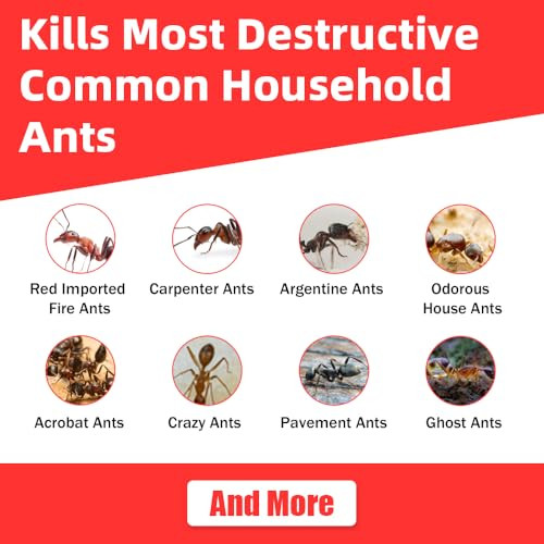 64 Pack Slow-Acting Ant Bait Gel Stations for Indoor & Outdoor Eliminate Entire Ant Colony, Effective Carpenter Ant