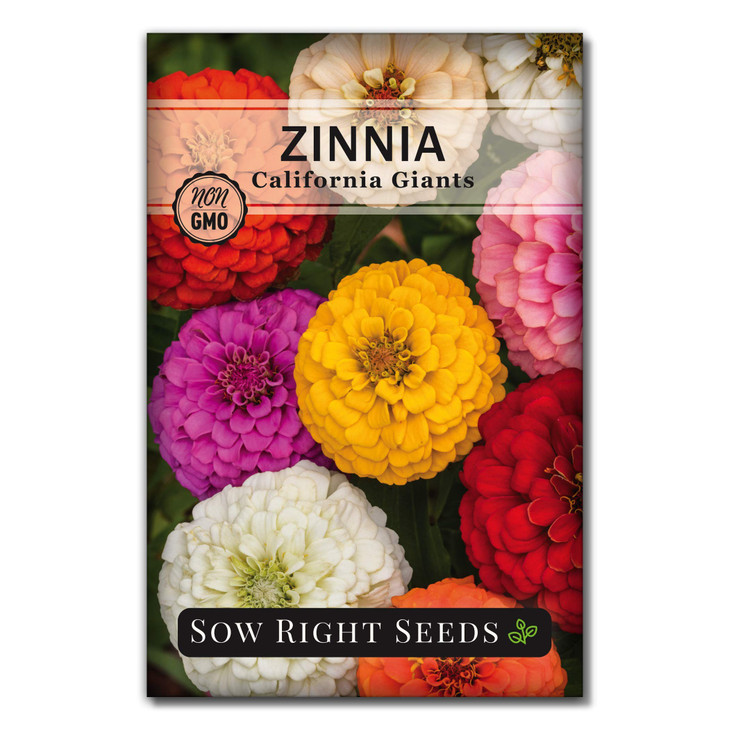 Sow Right Seeds - California Giants Zinnia Seed for Planting Flower Garden
