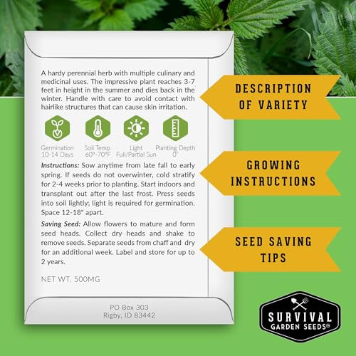 Stinging Nettle Seeds for Planting - 1 Pack