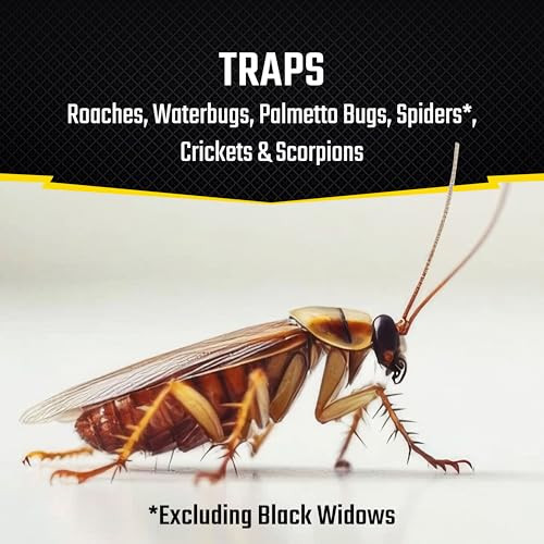 Roach Motel Traps 2 Count, Contains No Pesticides, Hides Dead Bugs