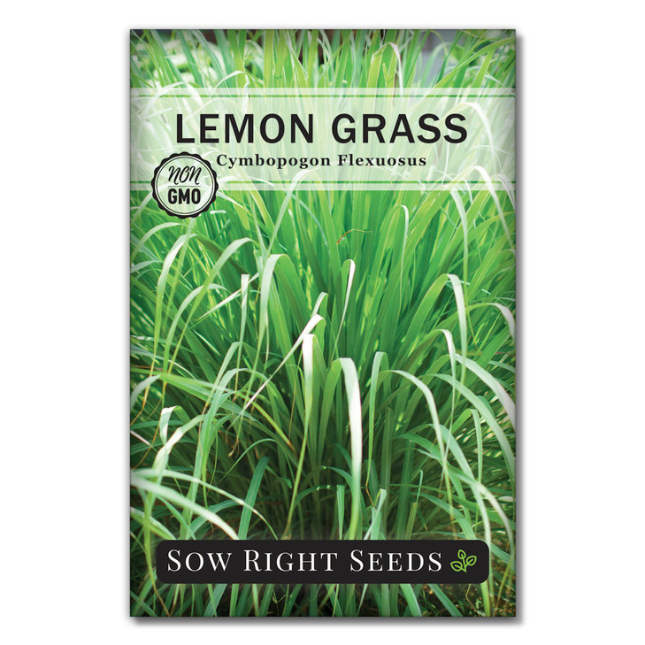 Sow Right Seeds - Lemon Grass Seed for Planting Mosquito Repellent Herbs