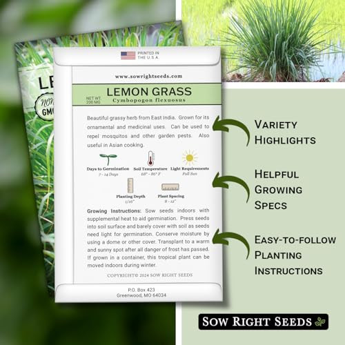 Sow Right Seeds - Lemon Grass Seed for Planting Mosquito Repellent Herbs