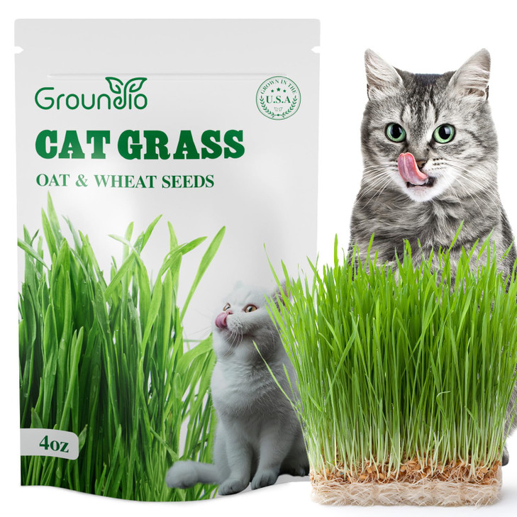 Groundio Cat Grass Seeds, 4 OZ, Wheat & Oat Seeds Mix