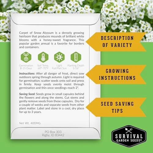 Sweet Alyssum Seeds for Planting  2 Varieties - Survival Garden Seeds