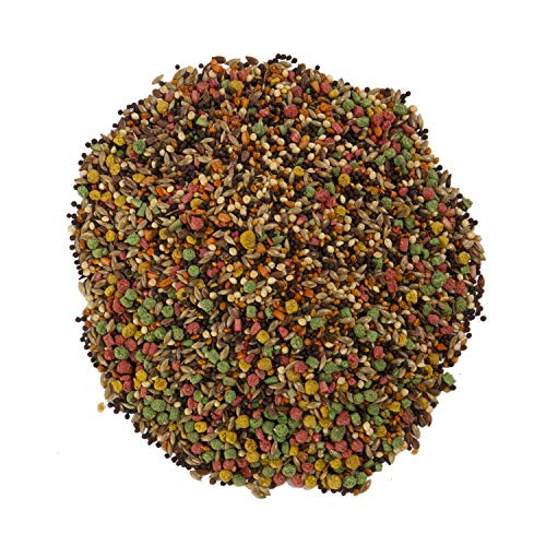 Wild Harvest Advanced Nutrition Diet Canary & Finch, Naturally Delicious Seed Mix With Vitamin A, 2 Pounds