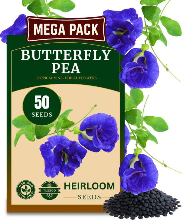 50+ Butterfly Pea Flower Seeds for Planting, Non-GMO Flower Seeds, Blue Butterfly Pea Vine (Clitoria Ternatea) Asian