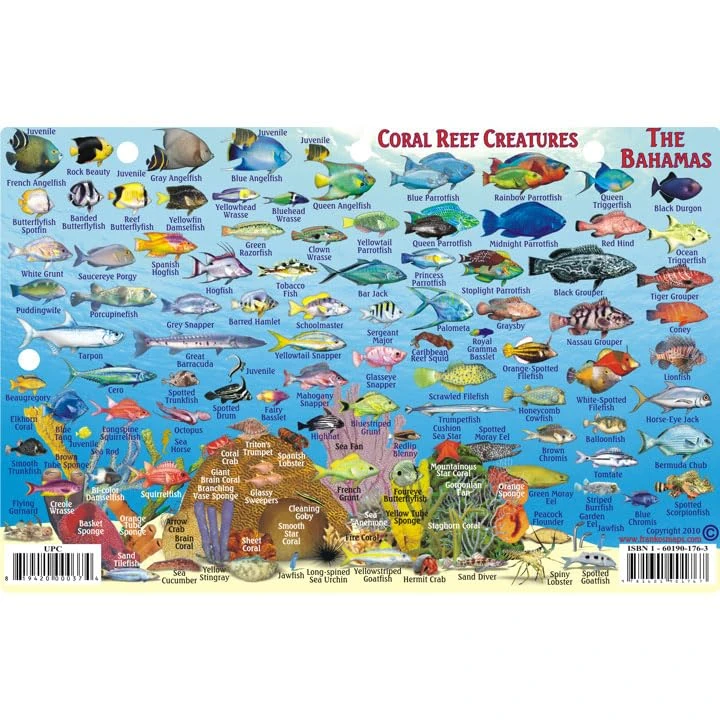 Franko Maps Bahamas Fish ID for Scuba Divers and Snorkelers