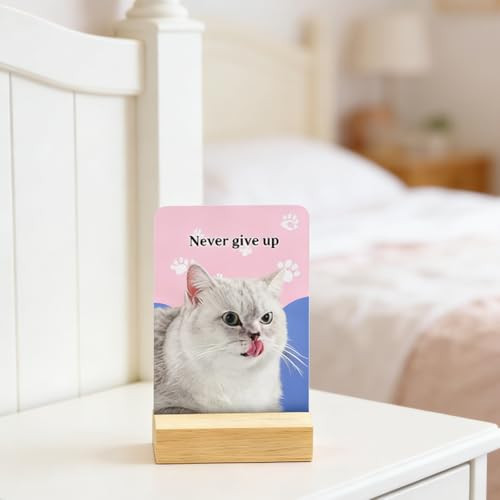 Gejoyse 60 PCS Cat Themed Affirmation Cards for Women