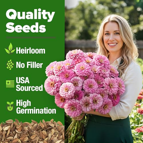 HOME GROWN Bloomsdale Spinach Seeds 704+ Heirloom Non-GMO Seeds for Planting, High Germination, Cold Hardy Dark Green