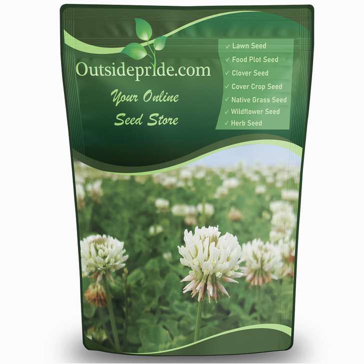 Outsidepride Perennial White Dutch Clover Seed - 1/4 lbs. Nitrocoated, Inoculated Clover Seeds for Lawn Alternative,