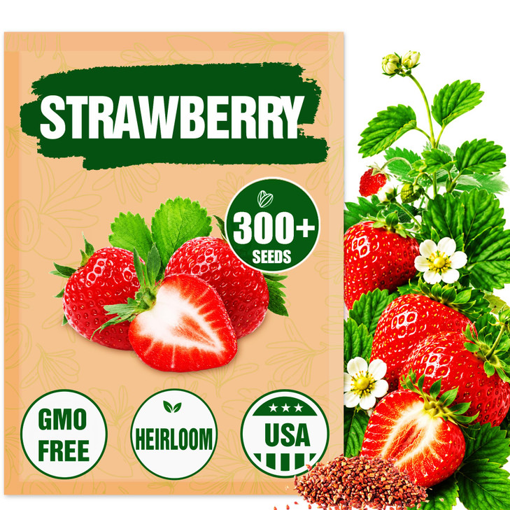 Rare Strawberry Seeds for Planting  300 Non-GMO Heirloom Seeds - Extra Big, Juicy, Sweet Strawberries