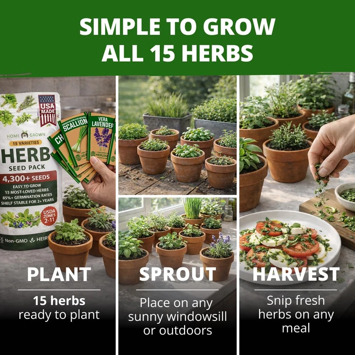 HOME GROWN Herb Seeds for Planting 15-Pack Massive Seed Count 4,300+ Seeds Non-GMO Heirloom | Extra Large | Culinary