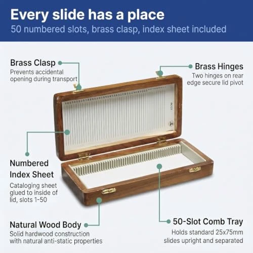 United Scientific Wooden Microscope Slide Box, 50 Slots with Hinged Lid
