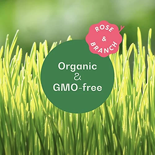 Rose & Branch Organic Wheat Grass Seeds for Indoor Cats - Cat Grass Seeds - 16 Ounces - 100% Organic Non-GMO - Hard
