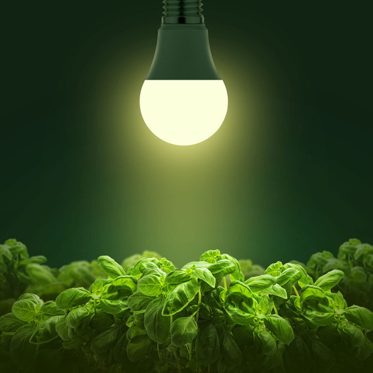 Briignite Grow Light Bulbs, LED Grow Light Bulb A19 Bulb, Full Spectrum