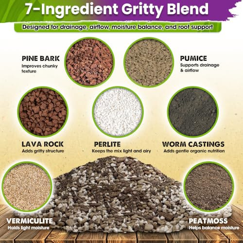 DUSPRO 7-in-1 Succulents & Cactus Soil Mix, Pre-Mixed & Ready to Use, 1 QT