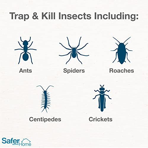 Safer SH400SR Indoor Spider, Ant, Cockroach, Centipede, and Crawling Insect Traps
