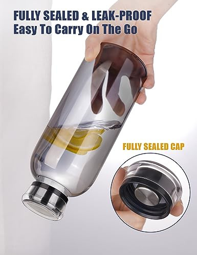NiHome Glass Water Bottle 25oz/750ml with Metal Straws, 2 Caps, Smoky Gray