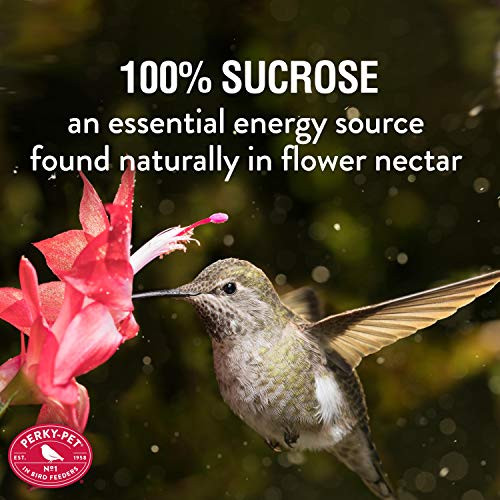 Perky-Pet Hummingbird Nectar Concentrate, 32 oz Liquid Bird Food