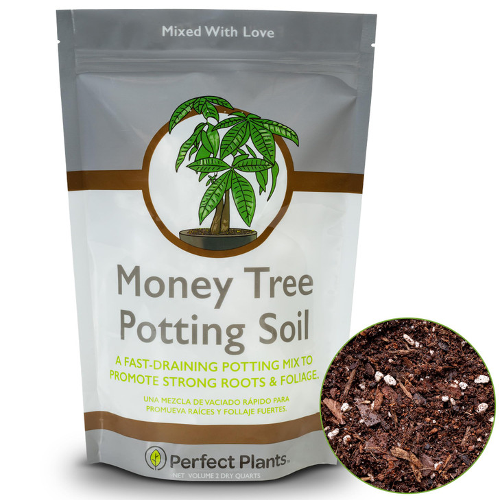 Perfect Plants Money Tree Potting Soil, 2 qt, Indoor Coco Coir Mix