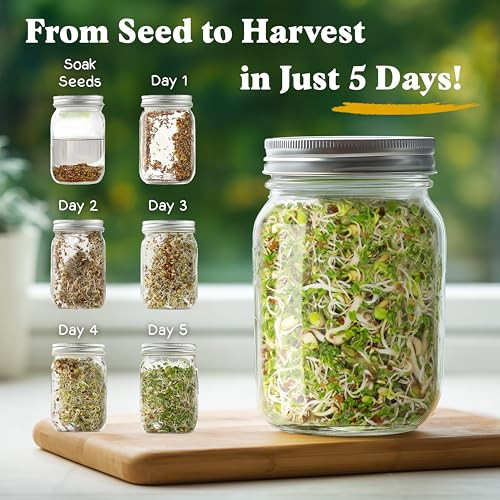 Seedboy Organic Non-GMO Microgreens and Sprouting Seeds (Salad Blend)