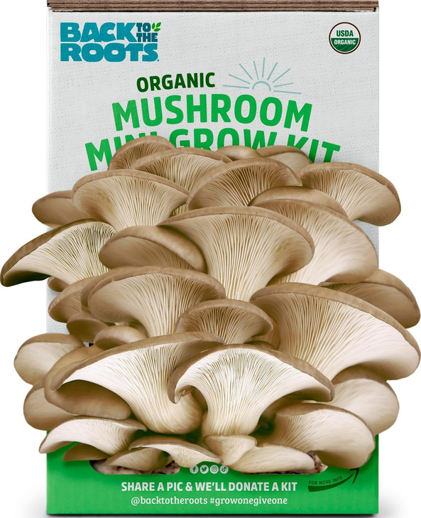 Back to the Roots Organic Mini Mushroom Grow Kit, Harvest Gourmet Oyster Mushrooms In 10 days, Top Gardening Gift,