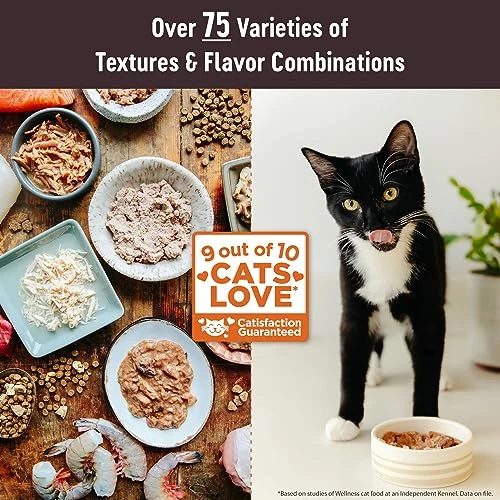 Wellness CORE Tiny Tasters Pate Variety Pack Adult Wet Cat Food, Natural, Protein Rich, Grain Free, Sea Recipies, 1.75
