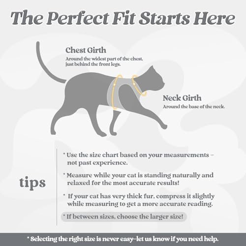 rabbitgoo Cat Harness and Leash Set, Step-in Soft Vest, Grey