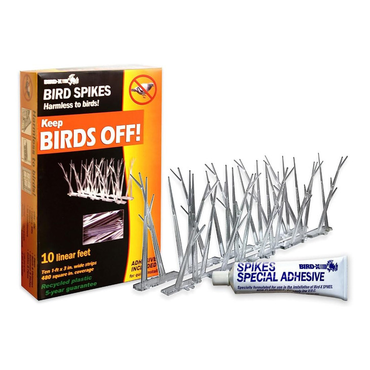 Bird-X Plastic Spikes Kit, Narrow Bird Spikes for Pigeons and Other Small Birds, Spikes with Adhesive, Contains 10