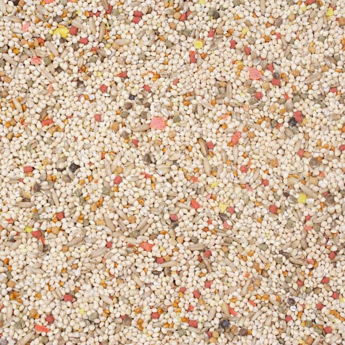 Higgins Vita Seed Parakeet Food, Large