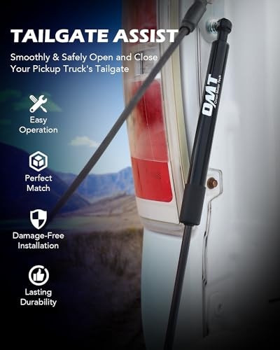 OMT Tailgate Assist Shock Compatible with 09-25 Ram 1500 2500 3500, Sliver