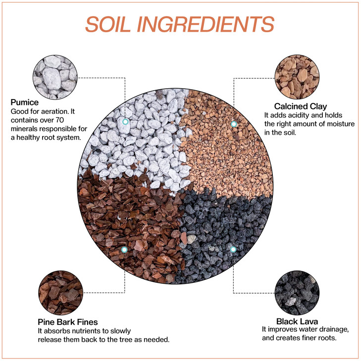 Bonsai Soil All Purpose Mix | Fast Draining Pre Blend (2 Quart Bag) Plant | Pumice, Lava, Calcined Clay and Pine Bark