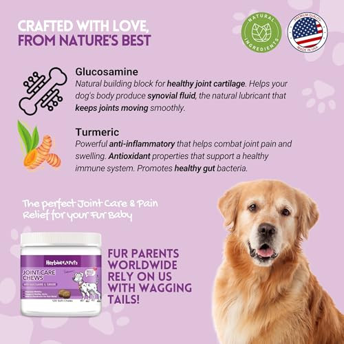 HERBION Pets Joint Care Chews with Glucosamine & Turmeric, 120 Soft Chews, MSM & Chondroitin for Pain Relief, Improves