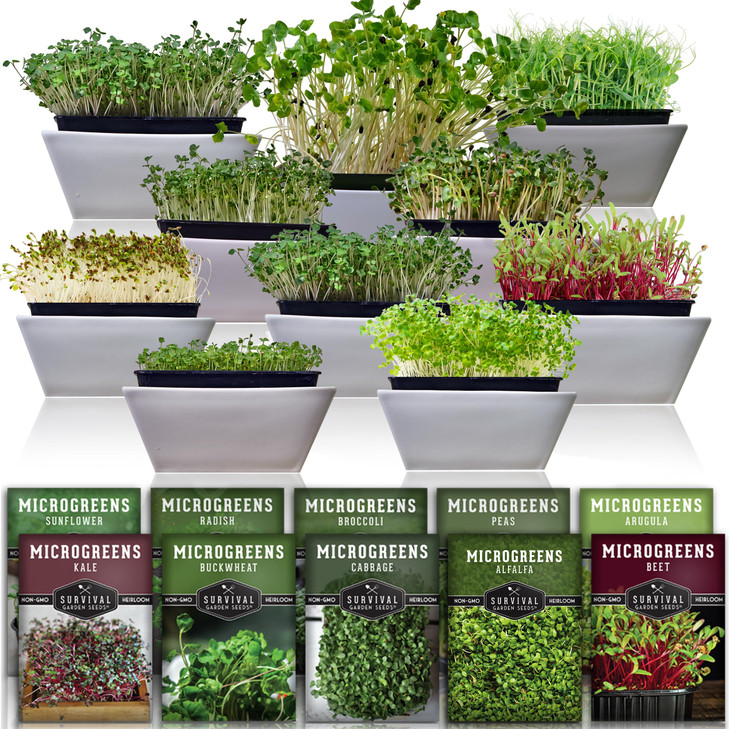 Microgreen Seeds Variety Pack A 10 Heirloom Types for Indoor Sprouting