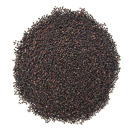 Broccoli Seeds for Sprouting & Microgreens | Waltham 29 Variety | Non GMO & Heirloom Seeds | Bulk 1 LB (16 oz)