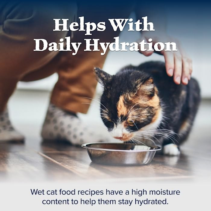 Blue Buffalo Wilderness Variety Pack Adult Paté Wet Cat Food, 3 oz, 12 ct