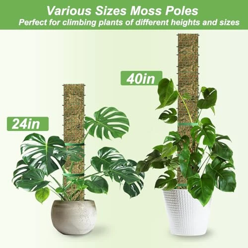 60"/40"/24" Metal Moss Pole, D Shape Sphagnum Moss Pole, Moss Poles for Climbing Plants, Monstera, Indoor Climbing