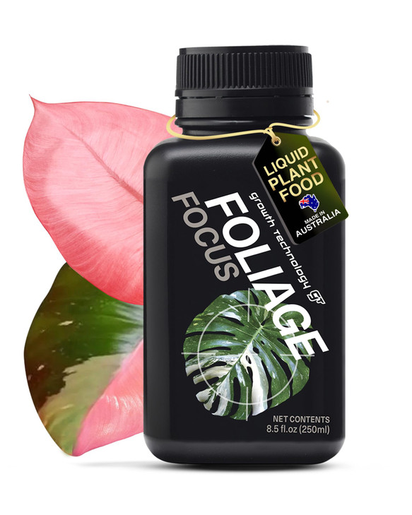 Growth Technology GT Foliage Focus - Liquid Indoor Plant Food for Houseplants, Tropical Plants, Aroids, Ferns and