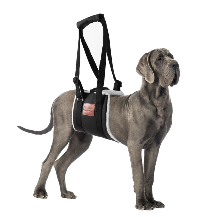 S-ETOVUS Adjustable Dog Lifting Harness, Large Dog Hind Leg Support Sling