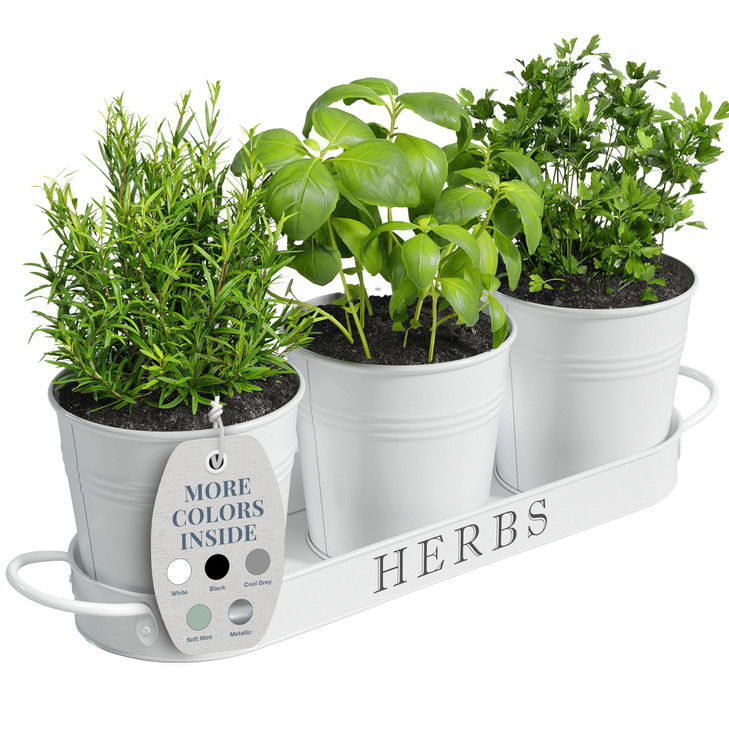 Barnyard Designs Indoor Herb Garden Planter Pots with Tray Set/3 (White)