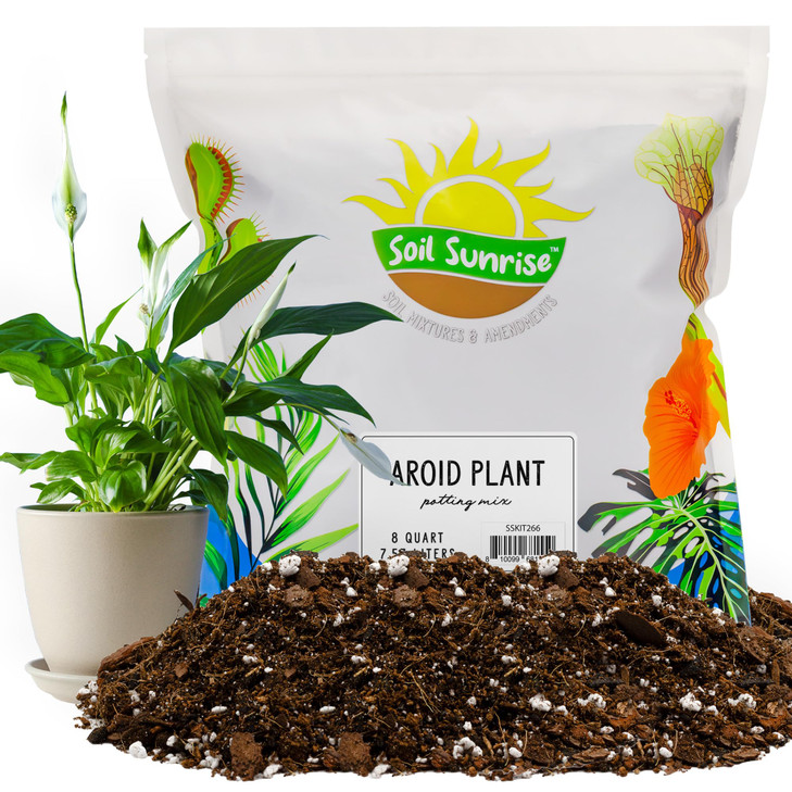 Soil Sunrise Aroid Plant Potting Soil Mix (8 Quarts) for Pothos Devil's Ivy, ZZ Plant, Chinese Evergreen, Dumb Cane