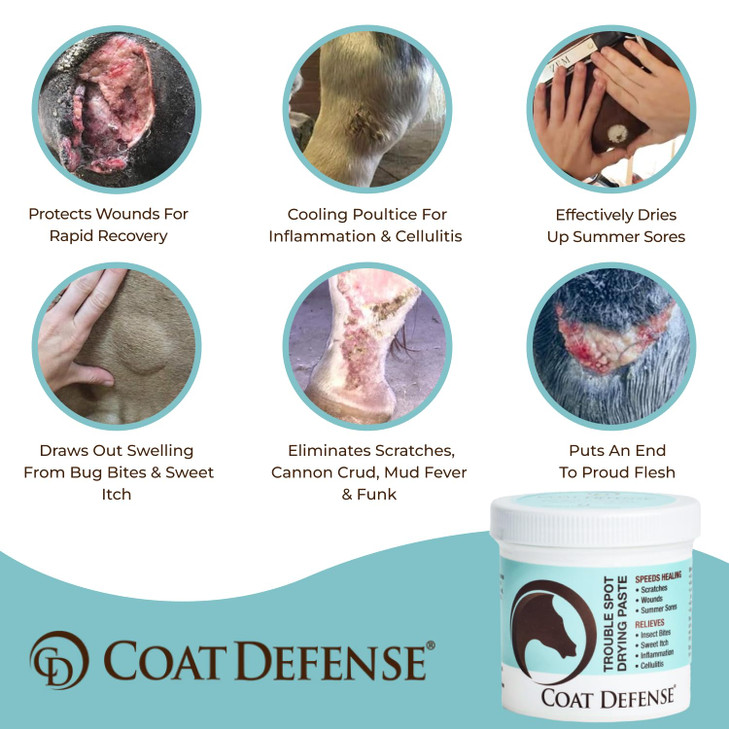 COAT DEFENSE Trouble Spot Drying Paste for Horses - Natural Equine Wound Care That Provides Safe & Effective Relief