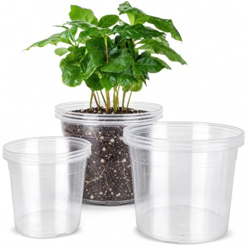 6/8/10 Inch Clear Nursery Pots with Drainage, Plastic Pots for Plants
