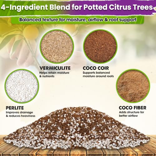 DUSPRO Pre-Mixed 4in1 Ready to Use Citrus Tree Potting Soil Mix, 10QRT