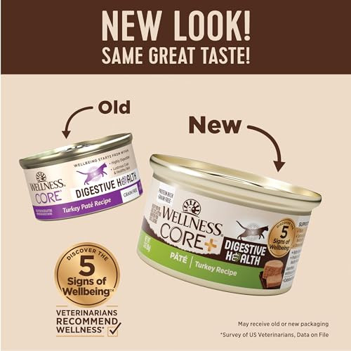 Wellness CORE+ Digestive Health Pate Adult Canned Wet Cat Food, Natural, Protein Rich, Grain Free, Turkey Recipe, 3