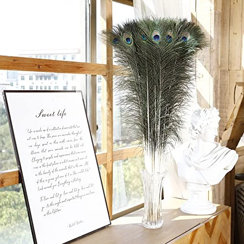 Soarer Long Peacock Feathers Bulk 32-35inch 25Pcs Feathers for Crafting