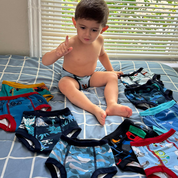BIG ELEPHANT 10-Pack Potty Training Underwear, Toddler Training Pants