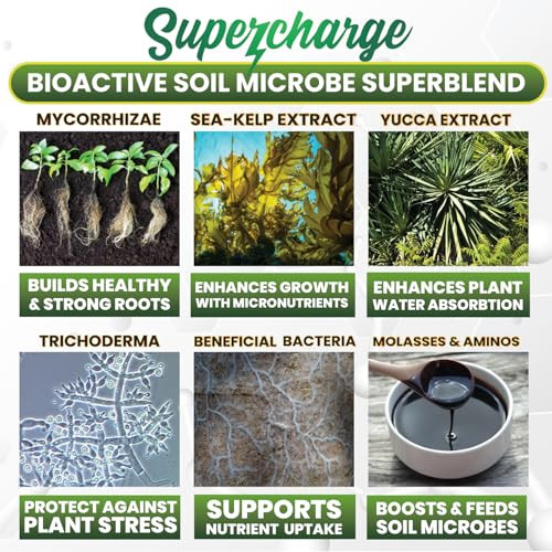 Mycorrhizal Fungi Root Enhancer, 8oz Powder Makes 100 Gallons