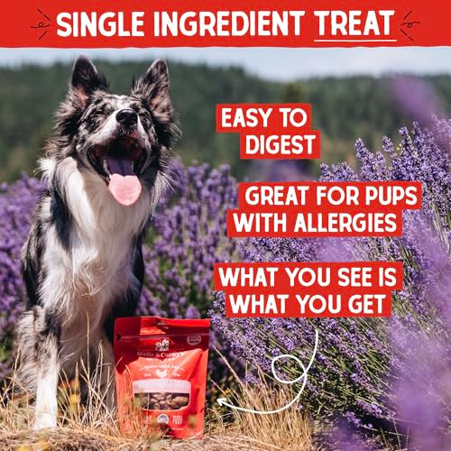 Stella & Chewy's Freeze-Dried Raw Chicken Heart Dog Treats - Single Ingredient, No Additives - Premium Training Treats