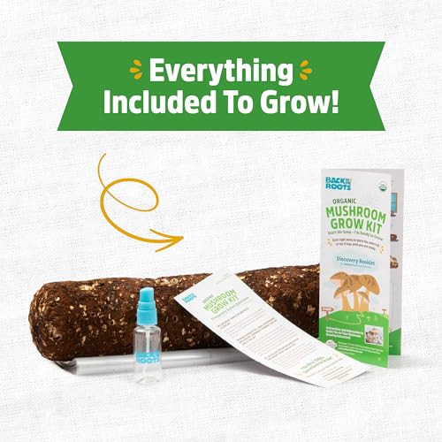 Back to the Roots Organic Shiitake Mushroom Kit; Great Gift; Easy for Beginners, For Indoor Growing (Start Growing